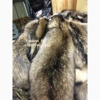 Шкуры енота кисточковый