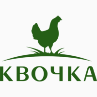Яйцо куриное мелкий опт с доставкой от производителя