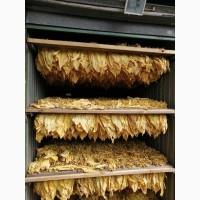 Продам табак Болгарский, Золоте руно, Вирджиния Голд