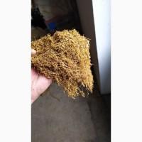 Продам табак Болгарский, Золоте руно, Вирджиния Голд