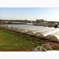 Продається 9 гектарів землі та 5000 кв.м. будівель у Броварському р-ні