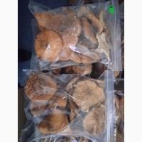 Мухор пантерний капелюшки