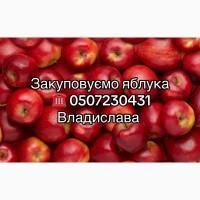 Купуємо яблука на переробку в необмеженій кількості.Куплю яблука