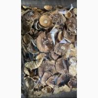 Продам пантерний гриб