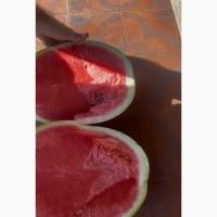 Продам кавун Арашан 2 тонни