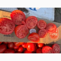 Продам помідор