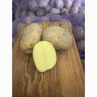 Бебі-картопля «Коломбо» для ресторанів