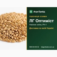 Насіння озимої пшениці ЛГ Оптиміст для посіву - еліта, РН-1