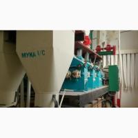 Перероблю пшеницю на борошно